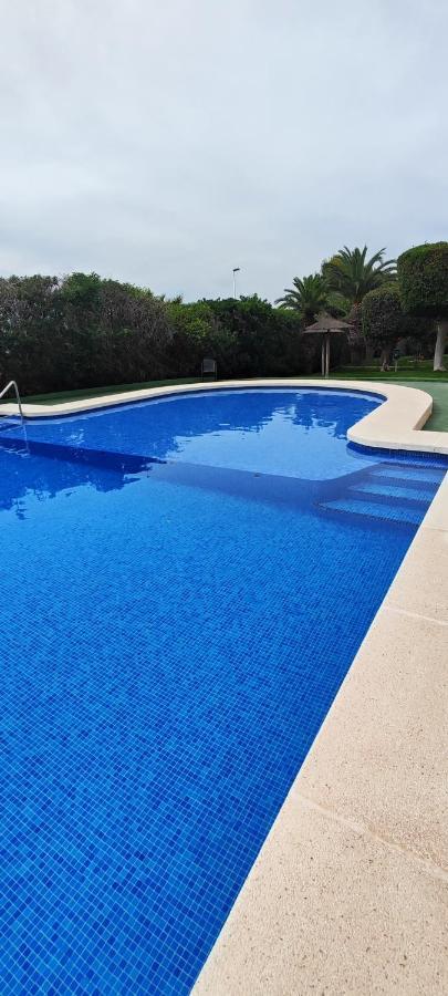 Parque Aromatico Con Dos Piscinas Lejlighed Torrevieja Eksteriør billede