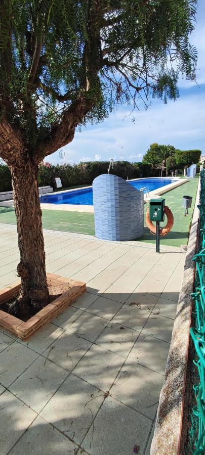 Parque Aromatico Con Dos Piscinas Lejlighed Torrevieja Eksteriør billede